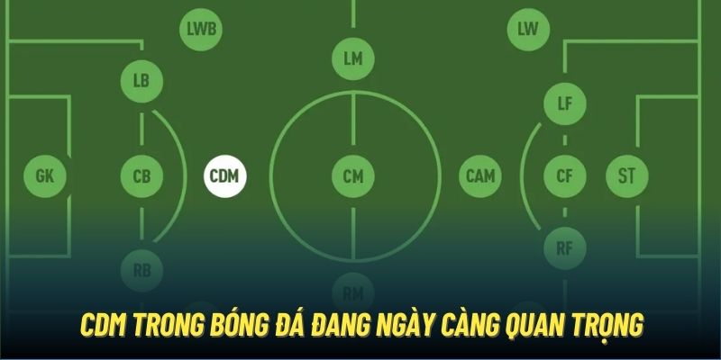 CDM trong bóng đá đang ngày càng quan trọng