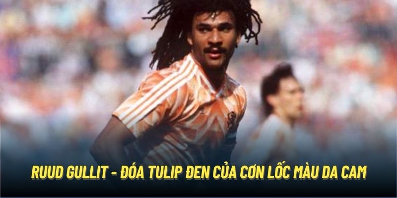 Ruud Gullit - Đóa Tulip Đen Của Cơn Lốc Màu Da Cam