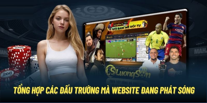 Tổng hợp các đấu trường mà website đang phát sóng