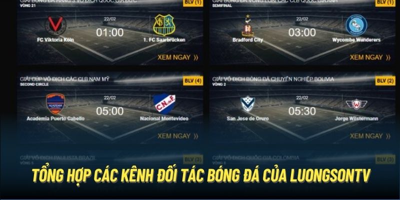 Tổng hợp các kênh đối tác bóng đá của LuongSonTV